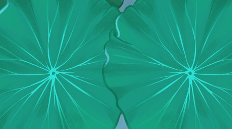 创意卡通夏至节气<strong>图文</strong>pr模板