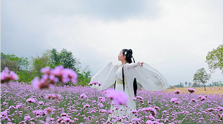 东方人像汉服女孩在花海转圈4K实拍