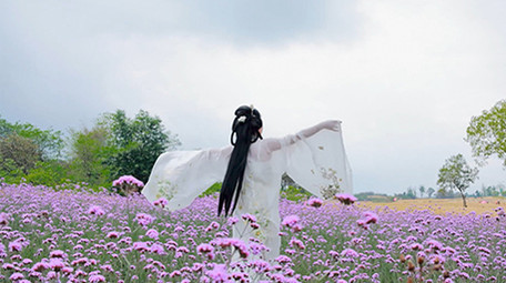 东方人像汉服女孩在花海转圈4K实拍