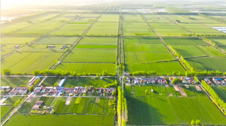 美丽乡村农田唯美麦田4K航拍