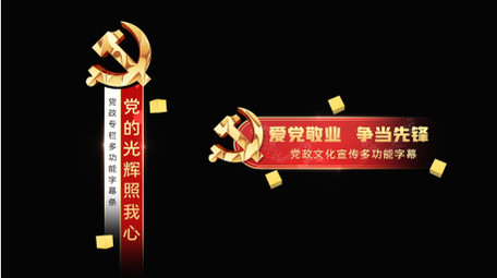 红色党政大气庄重字幕条花字