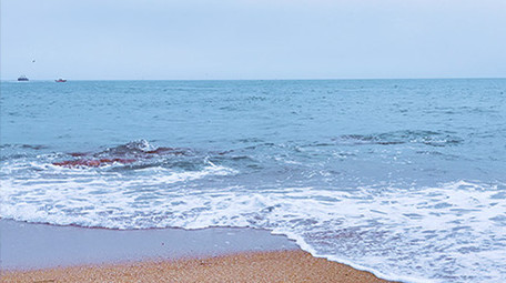 大海海洋海滩沙滩海浪波浪实拍
