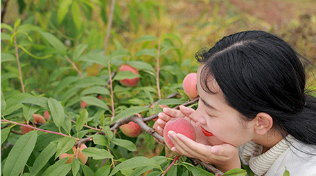 东方人像女孩手捧水蜜桃4K实拍
