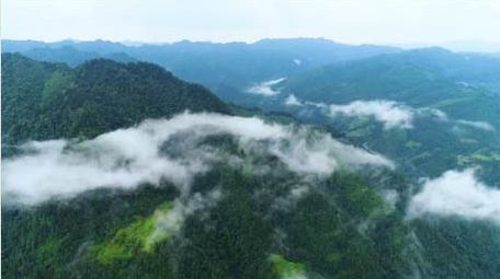 贵州毕节森林云海航拍