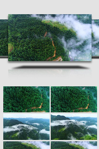 贵州毕节森林云海航拍图片