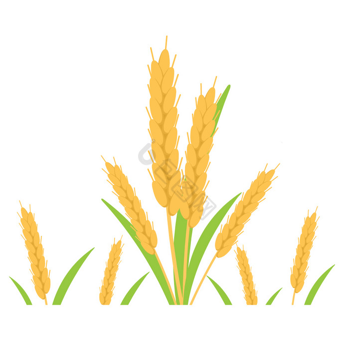 卡通粮食麦穗秋天丰收元素动图