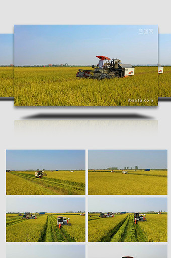 低空航拍联合收割机收割水稻图片
