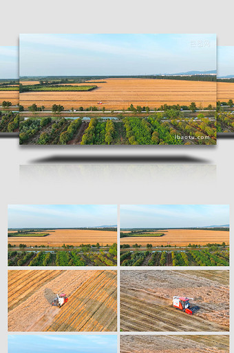 农业机械化收割麦子农忙4K航拍图片