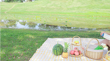 东方人像女孩户外露营阅读4K