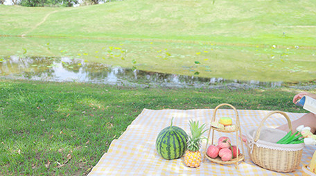 东方人像女孩户外露营阅读4K