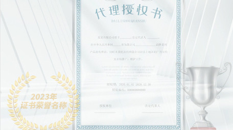 简洁商务荣誉证书展示AE模板
