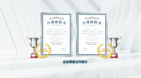 简洁商务荣誉证书展示AE模板