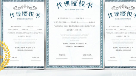 简洁商务荣誉证书展示AE模板