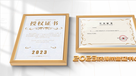 简洁大气荣誉证书包装展示