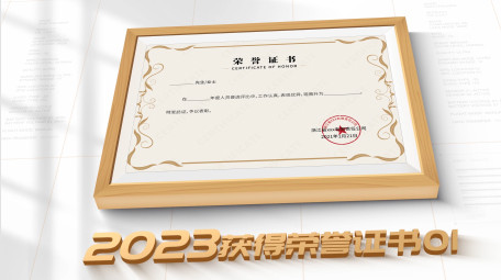 简洁大气荣誉证书包装展示