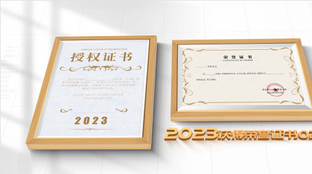 简洁大气荣誉证书包装展示