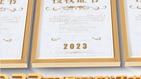 简洁大气荣誉证书包装展示