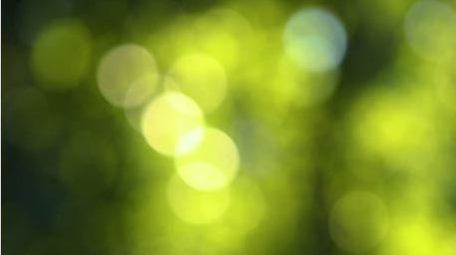 森林阳光穿过树叶空镜实拍