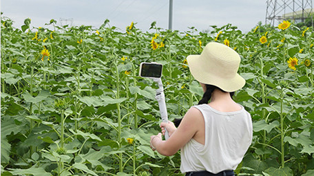 东方人像女孩花海自拍4K实拍