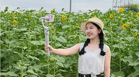 东方人像女孩花海自拍4K实拍