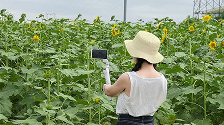 东方人像女孩花海自拍4K实拍