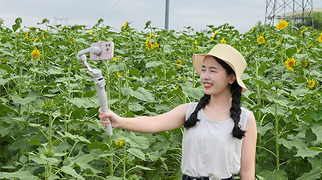 东方人像女孩花海自拍4K实拍