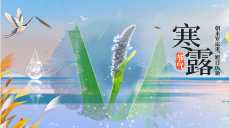 中国风寒露pr<strong>图文</strong>模板