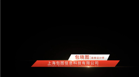 大气简洁光效党政字幕条