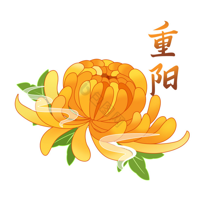 黄色菊花重阳节思亲花卉GIF