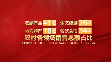 红色党政数据图表字幕