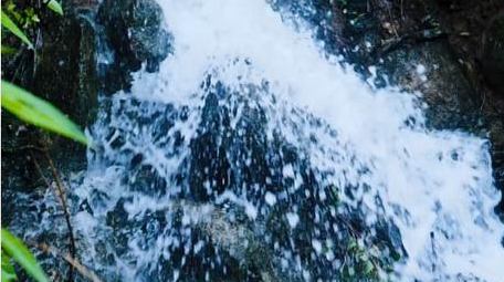 森林小型自然瀑布水流流动实拍