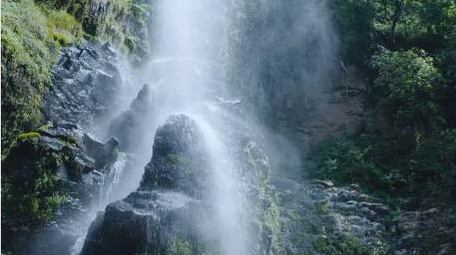 森林小型自然瀑布水流流动实拍