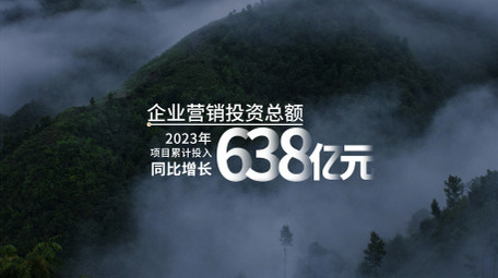 大气年终数据总结字幕条