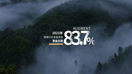 大气年终数据总结字幕条