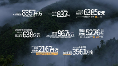 大气年终数据总结字幕条