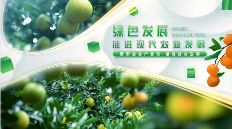 绿色生态农业主题<strong>图文</strong>AE模板