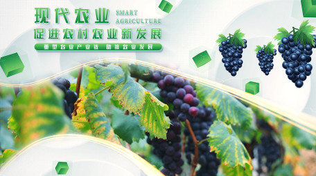 绿色生态农业主题<strong>图文</strong>AE模板