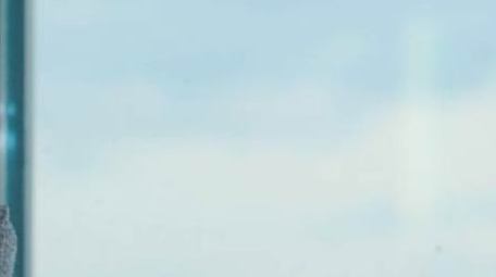 商务年轻男性走向窗边思考实拍