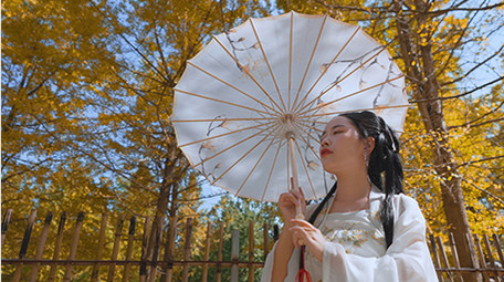 唯美汉服美女银杏树下撑伞实拍