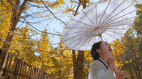 唯美汉服美女银杏树下撑伞实拍