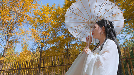 唯美汉服美女银杏树下撑伞实拍