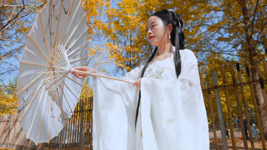 唯美汉服美女银杏树下撑伞实拍