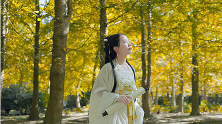 唯美汉服美女行走在银杏树中实拍