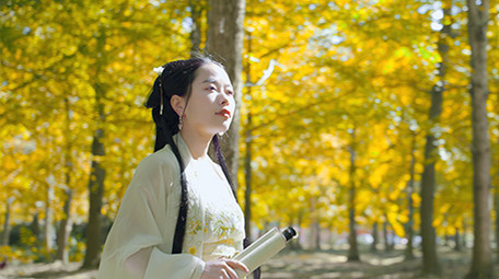 唯美汉服美女行走在银杏树中实拍