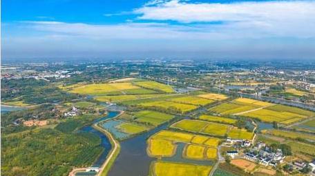 乡村振兴农田风光4k航拍延时