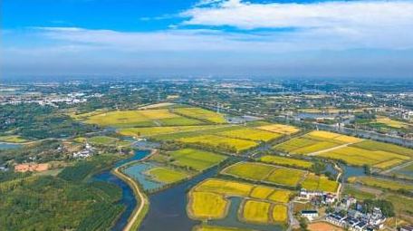 乡村振兴农田风光4k航拍延时