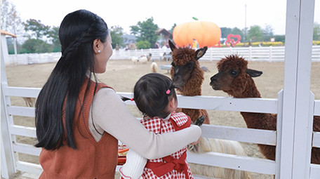 亲子陪伴妈妈带孩子喂动物实拍