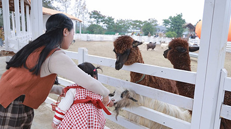 亲子陪伴妈妈带孩子喂动物实拍