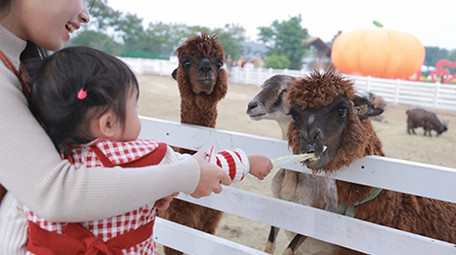 亲子陪伴妈妈带孩子喂动物实拍