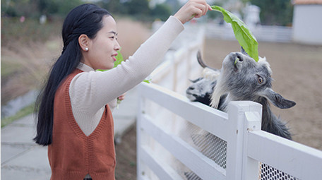 东方人像女孩投喂山羊4k实拍
